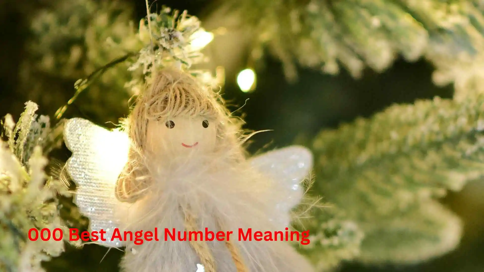 000 Best Angel Number Meaning