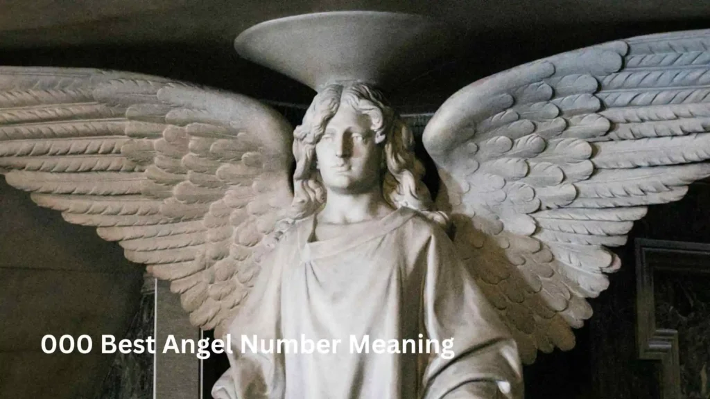 000 Best Angel Number Meaning