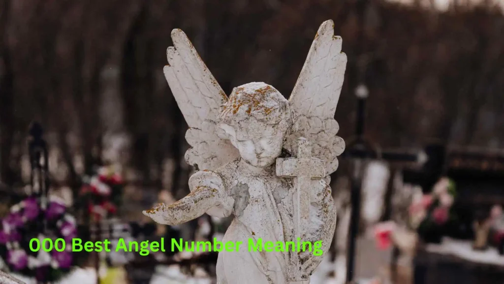 000 Best Angel Number Meaning