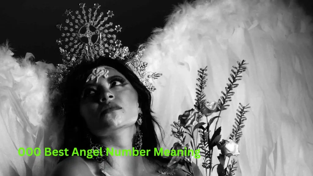 000 Best Angel Number Meaning