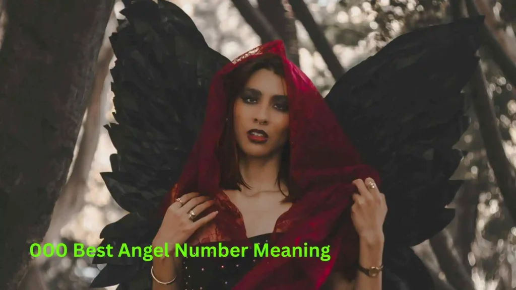 000 Best Angel Number Meaning