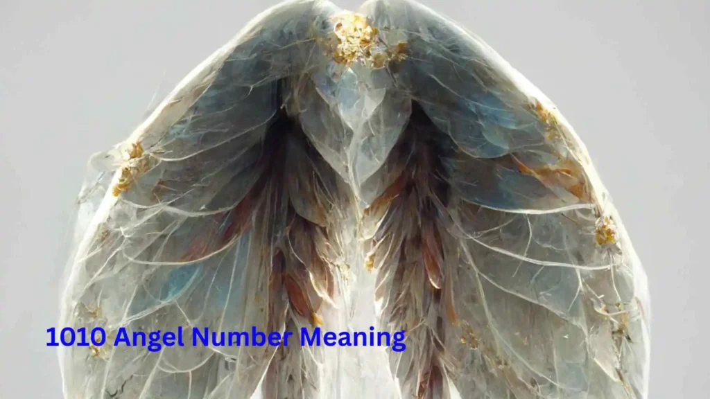 1010 Angel Number Meaning