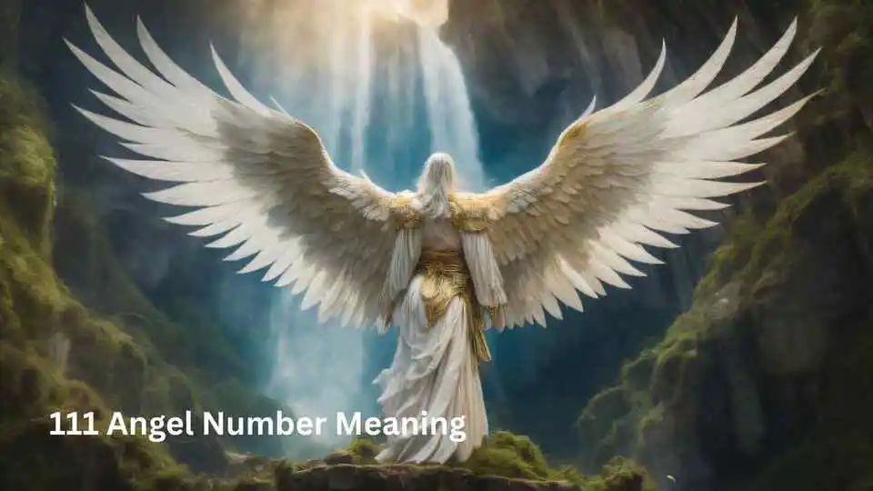111 Angel Number Meaning