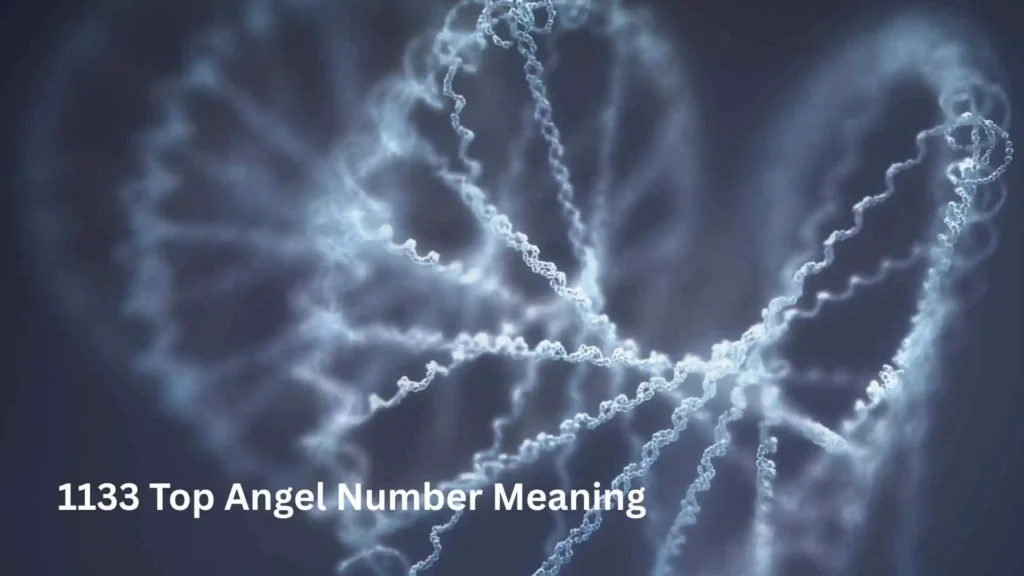 1133 Top Angel Number Meaning
