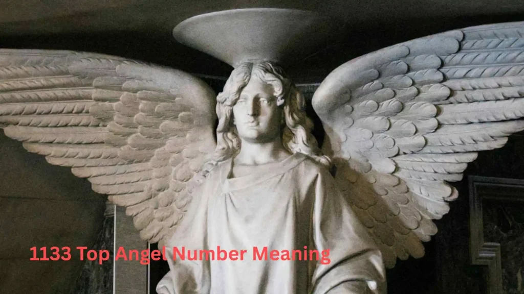 1133 Top Angel Number Meaning