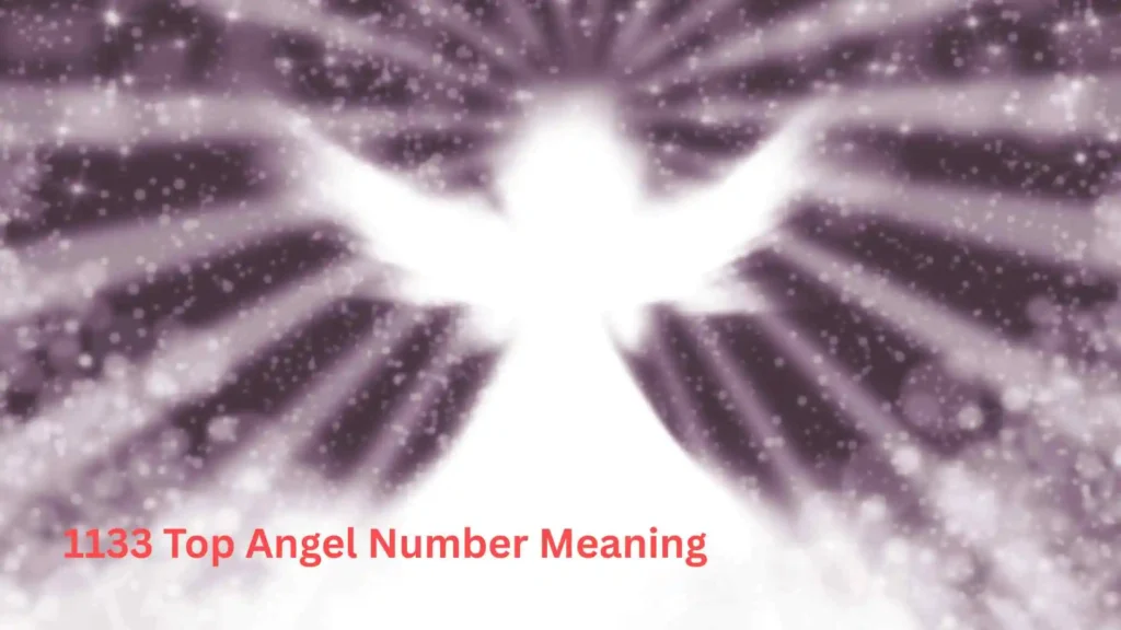 1133 Top Angel Number Meaning