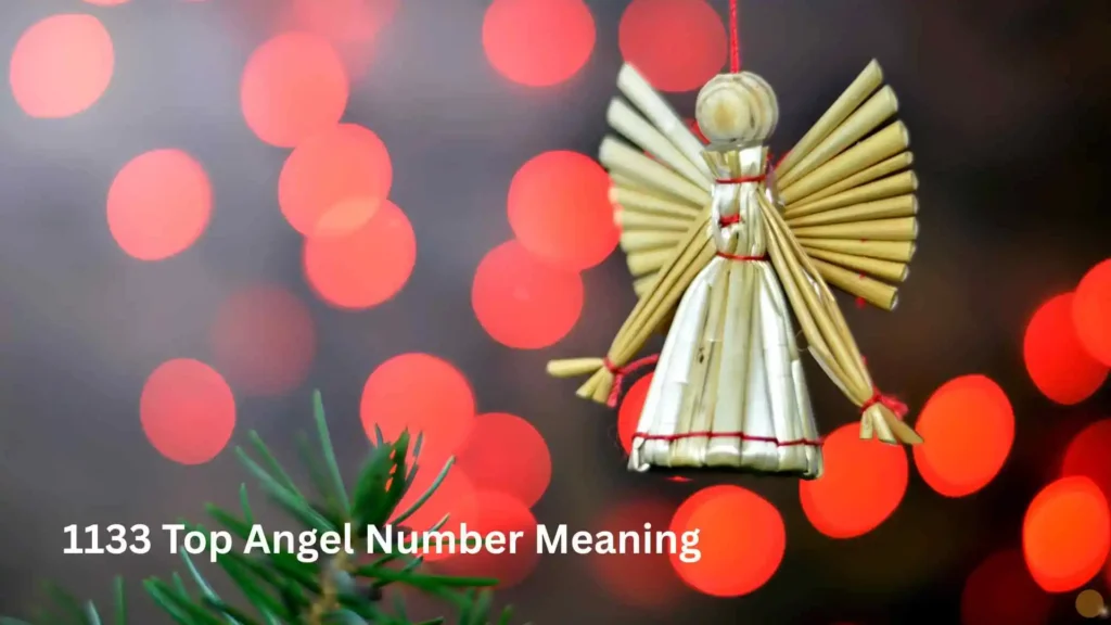 1133 Top Angel Number Meaning