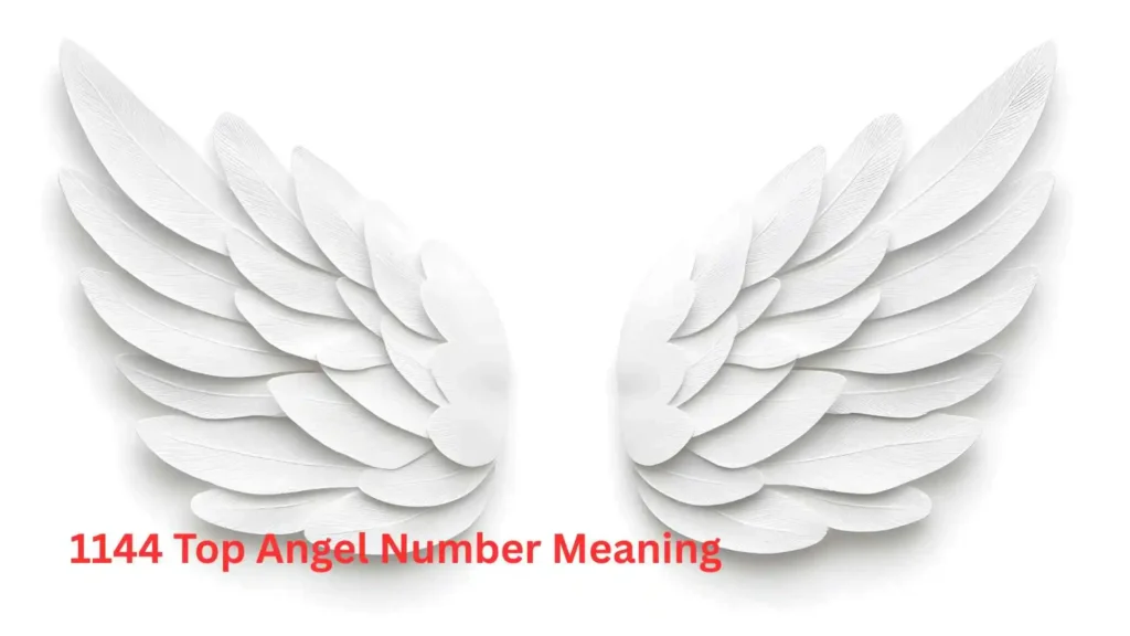 1144 Top Angel Number Meaning