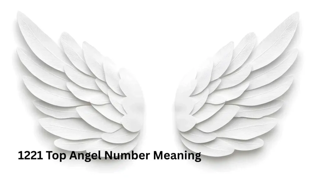 1221 Top Angel Number Meaning