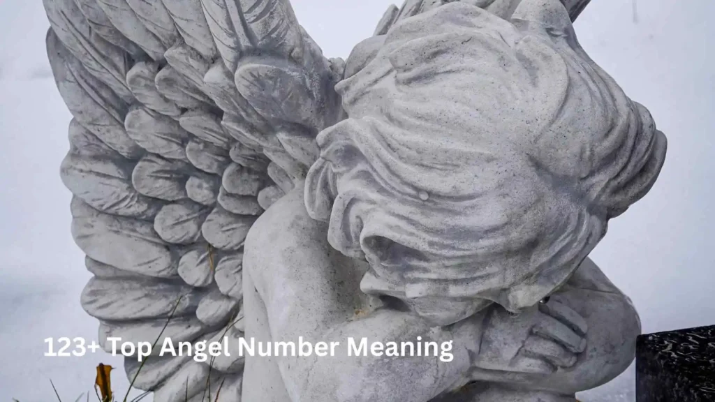 123+ Top Angel Number Meaning