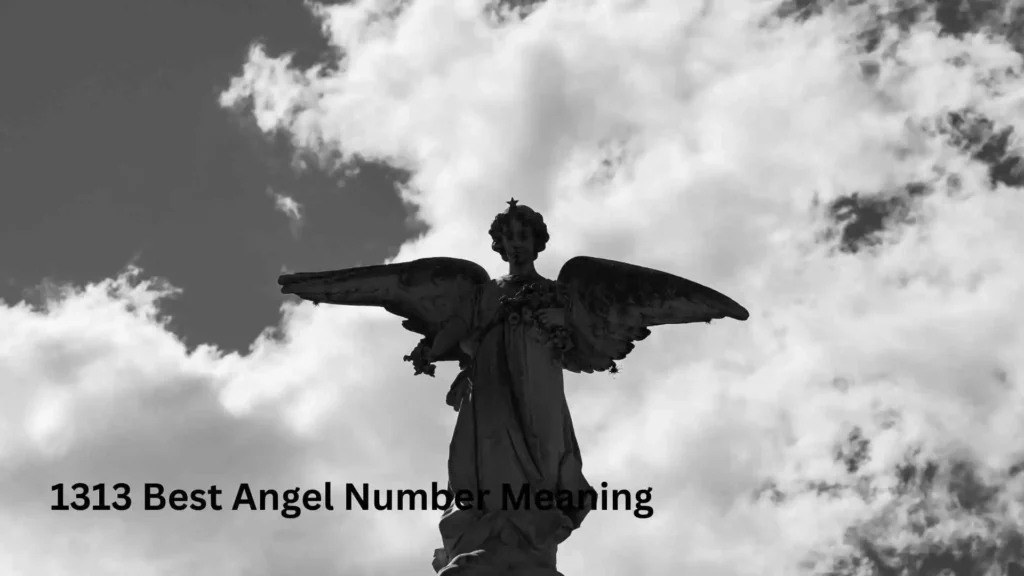 1313 Best Angel Number Meaning