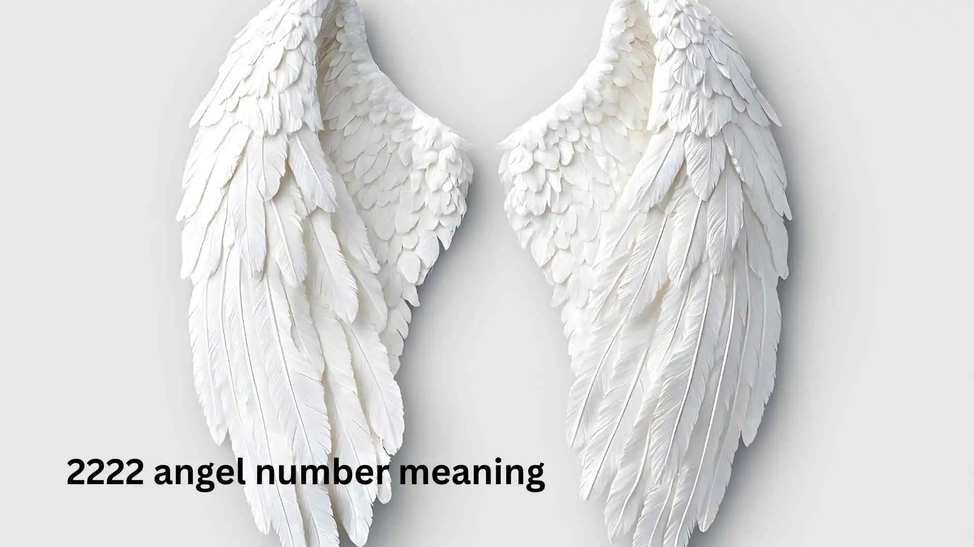 2222 angel number meaning