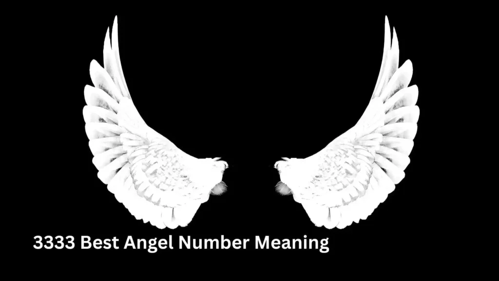 3333 Best Angel Number Meaning