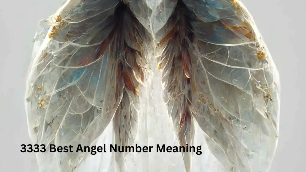 3333 Best Angel Number Meaning