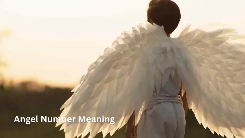 Angel Number Meaning