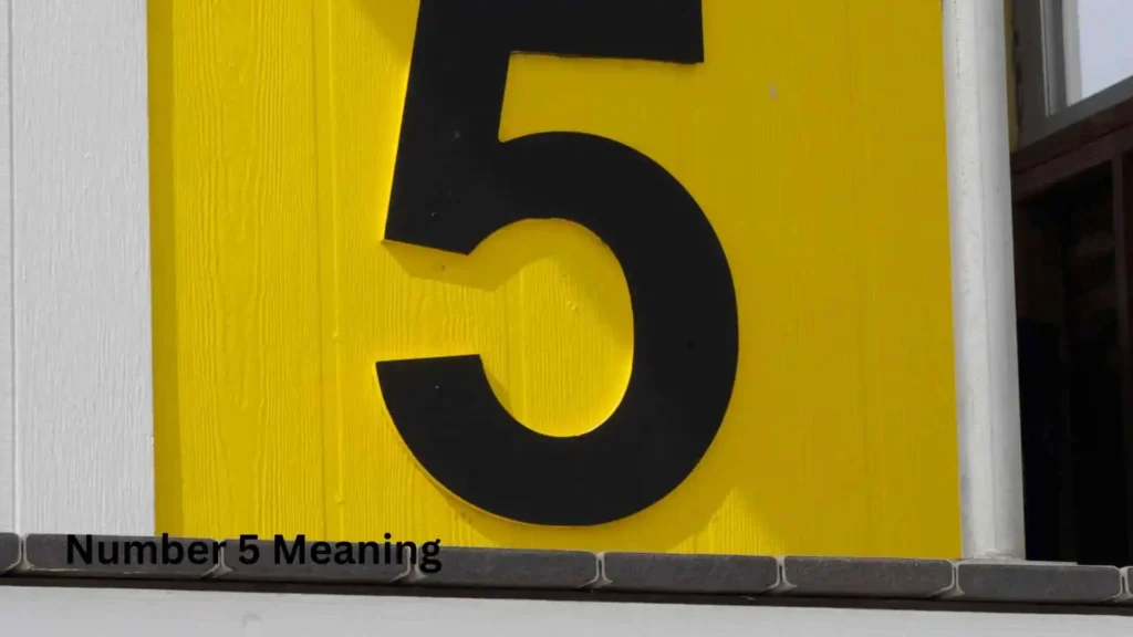 Number 5 Meaning