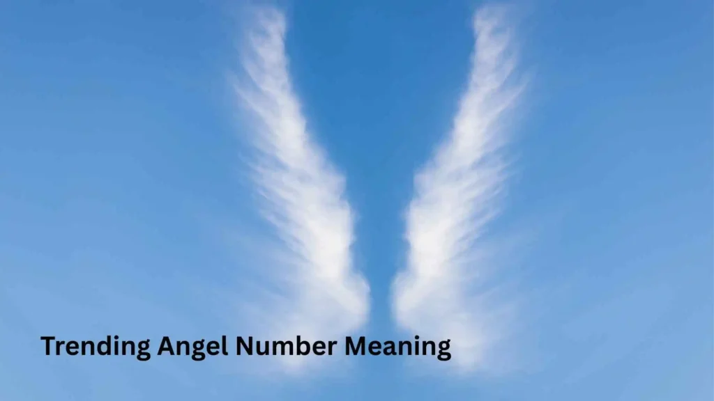 Trending Angel Number Meaning 