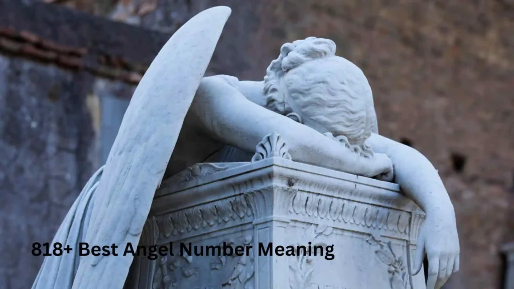 818+ Best Angel Number Meaning