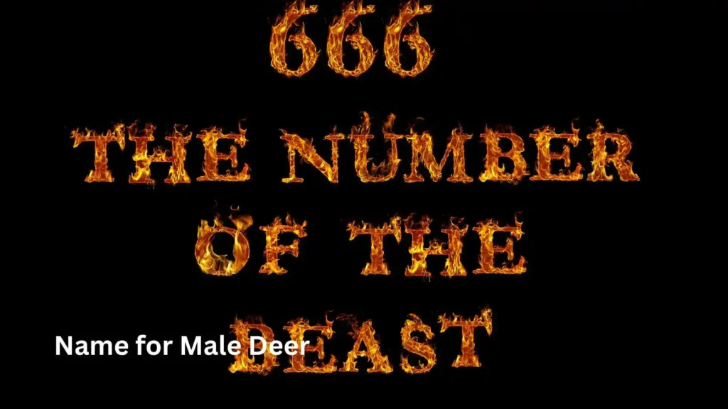 Top Angel Number 666 Meaning