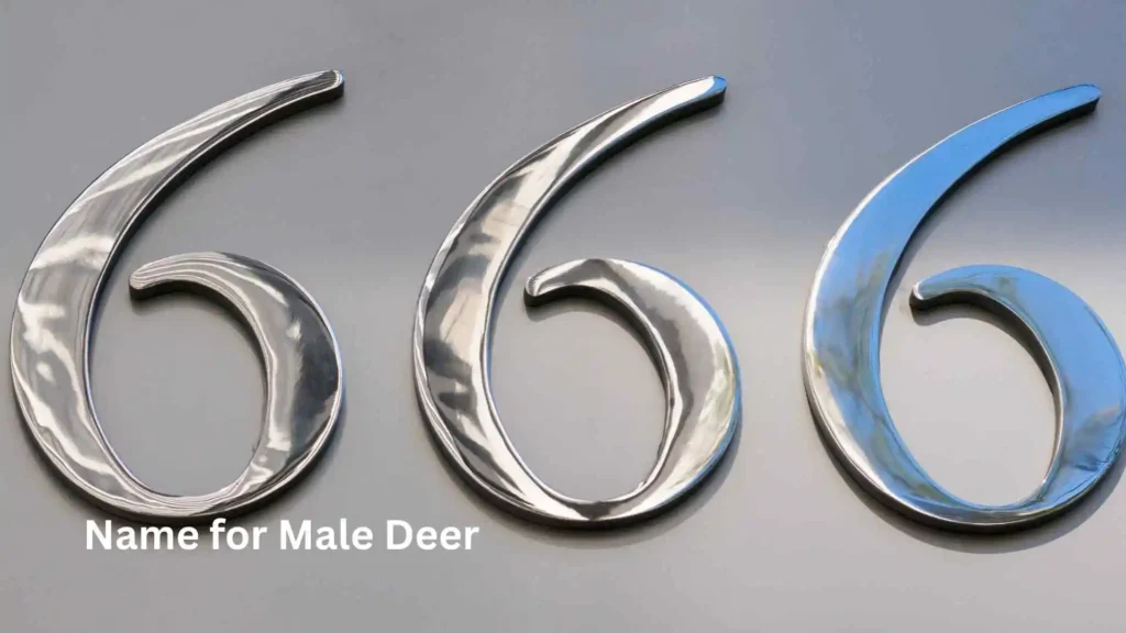 Top Angel Number 666 Meaning