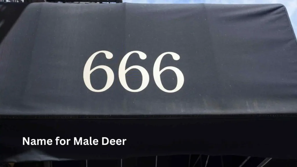 Top Angel Number 666 Meaning