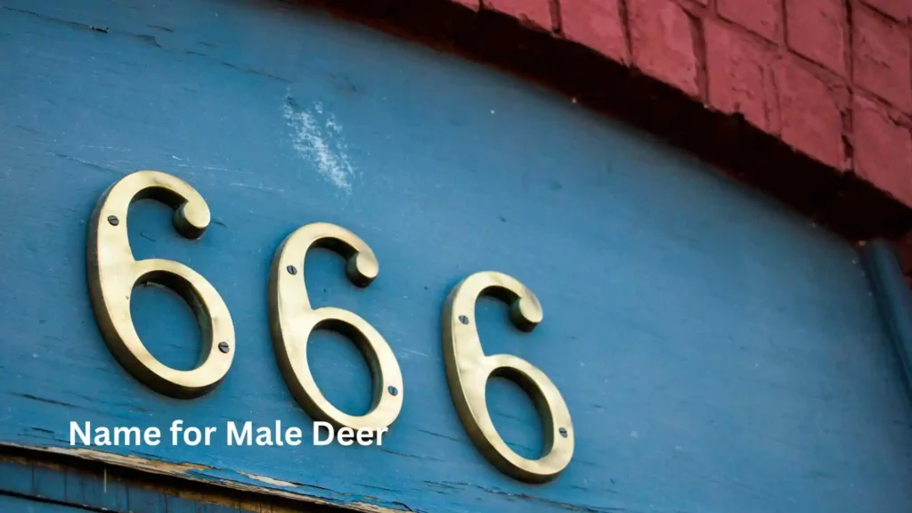 Top Angel Number 666 Meaning