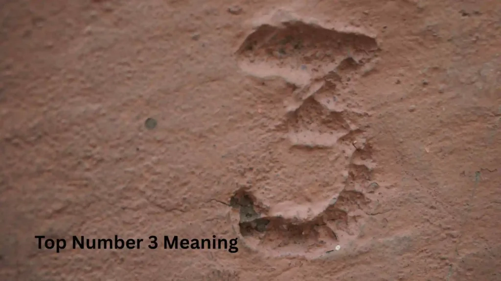 Top Number 3 Meaning