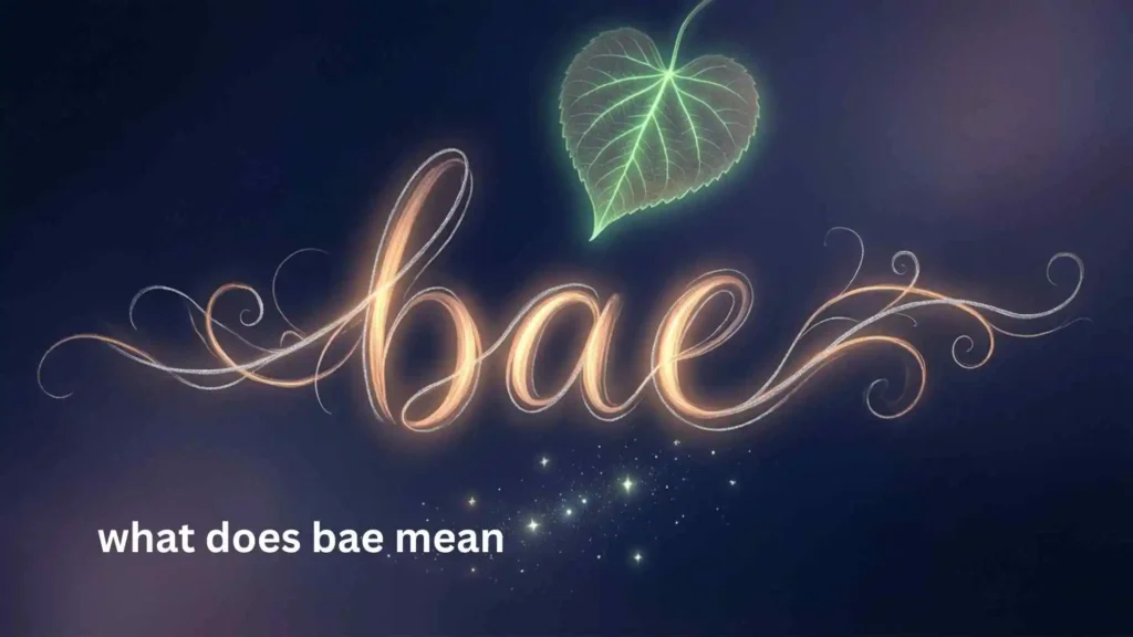 what does bae mean