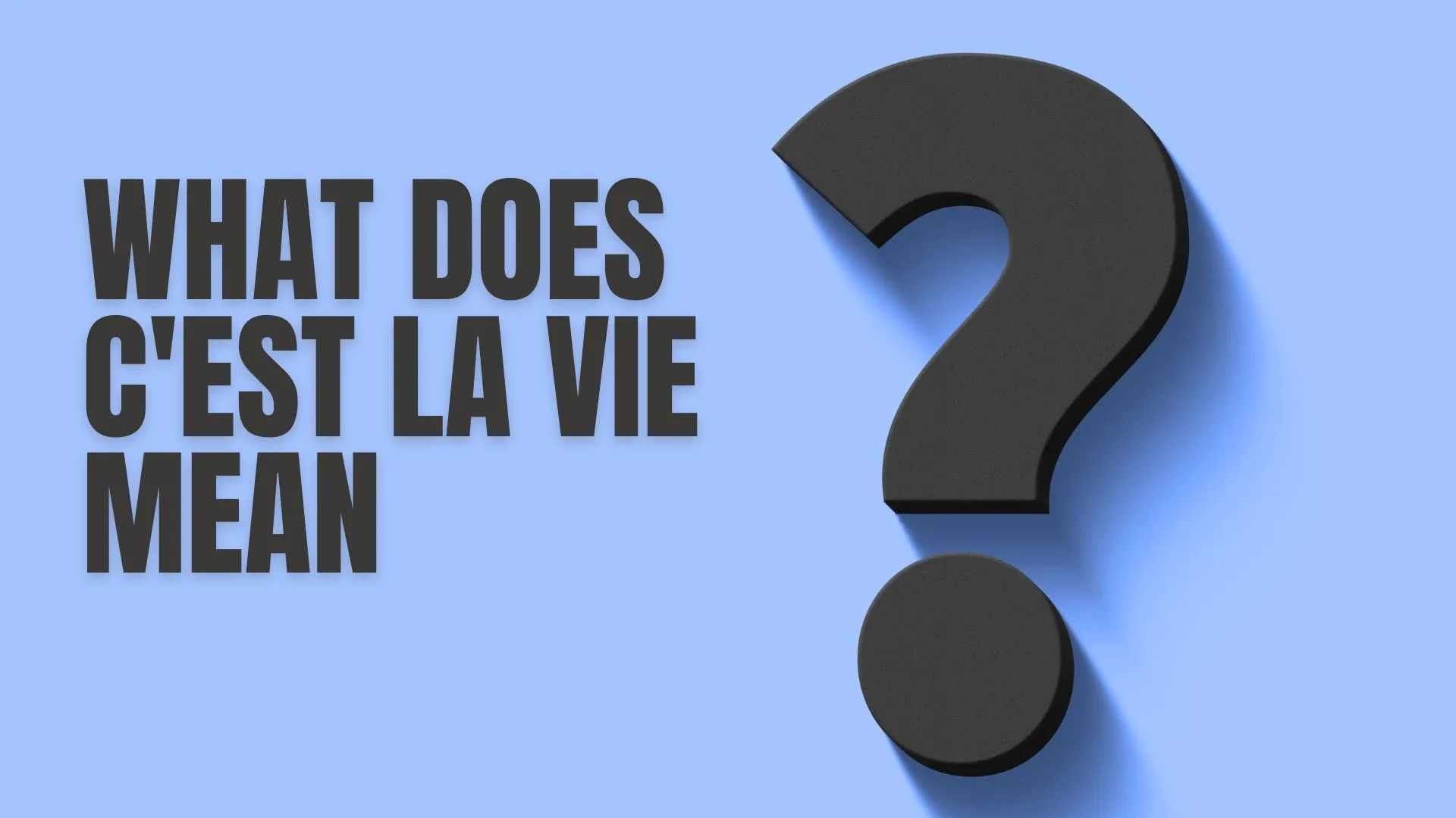 what does c'est la vie mean