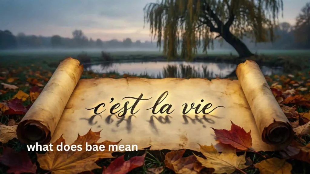 what does c'est la vie mean