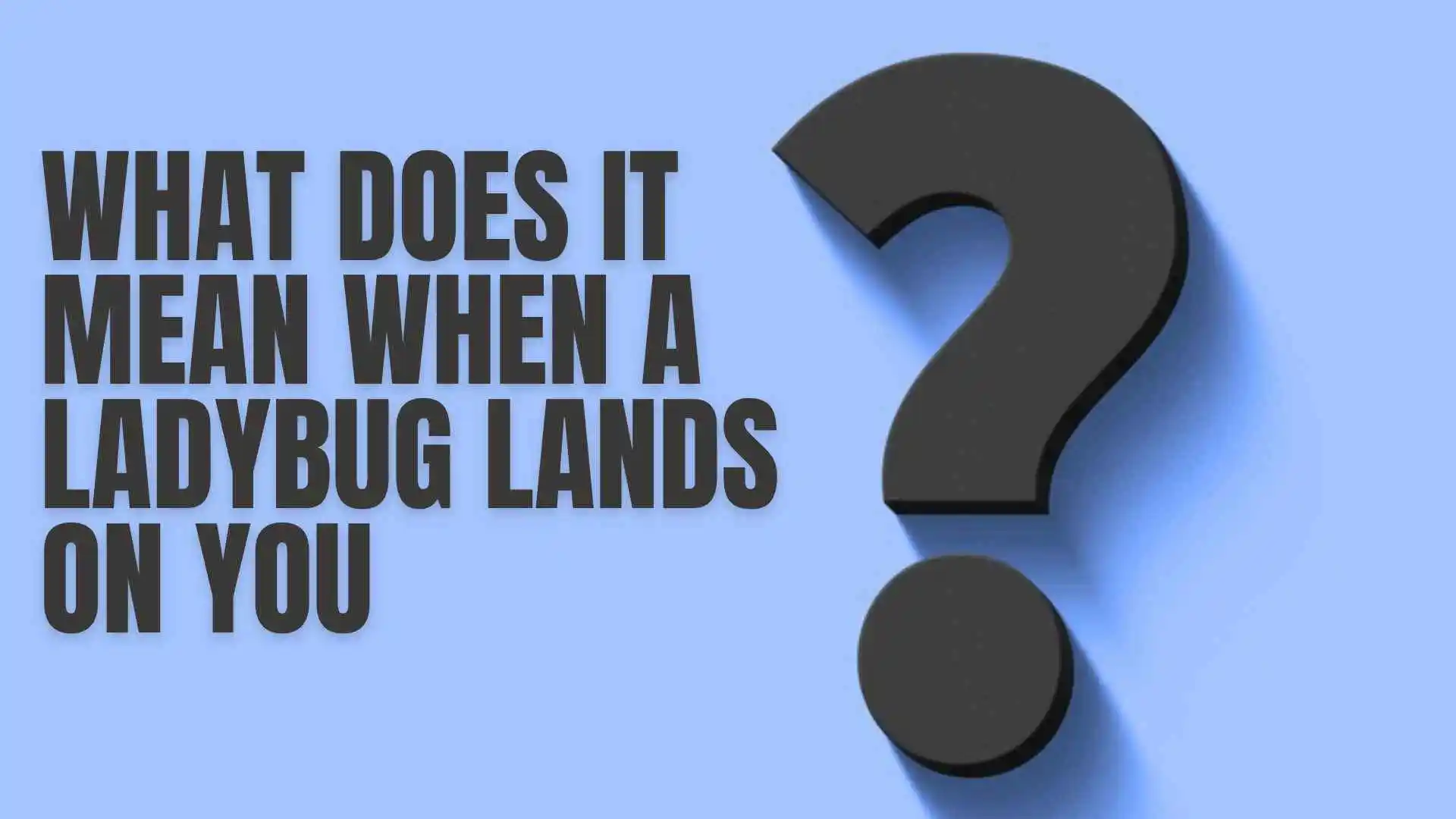 what does it mean when a ladybug lands on you