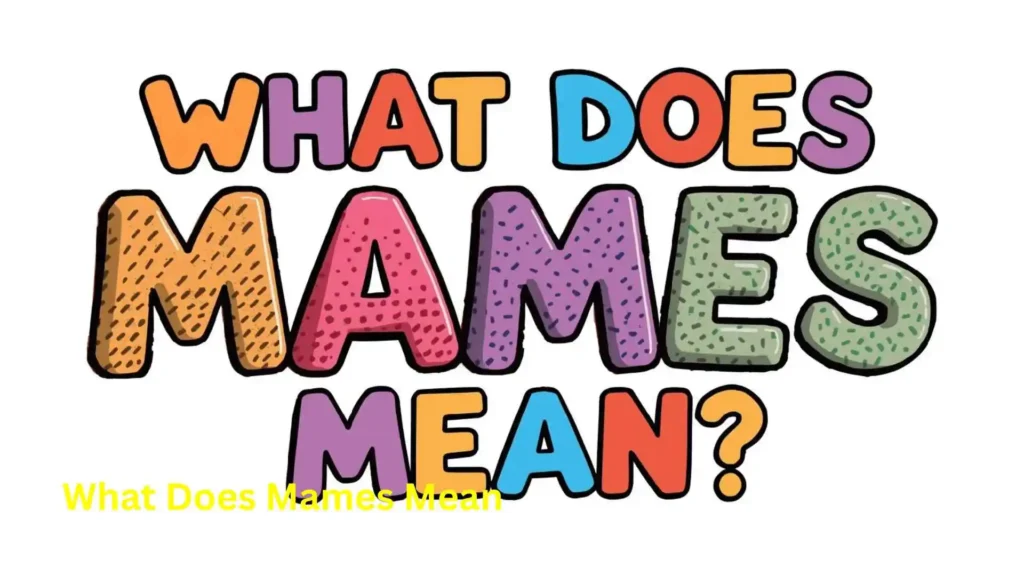 What Does Mames Mean 