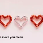 what does i love you mean