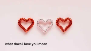 what does i love you mean